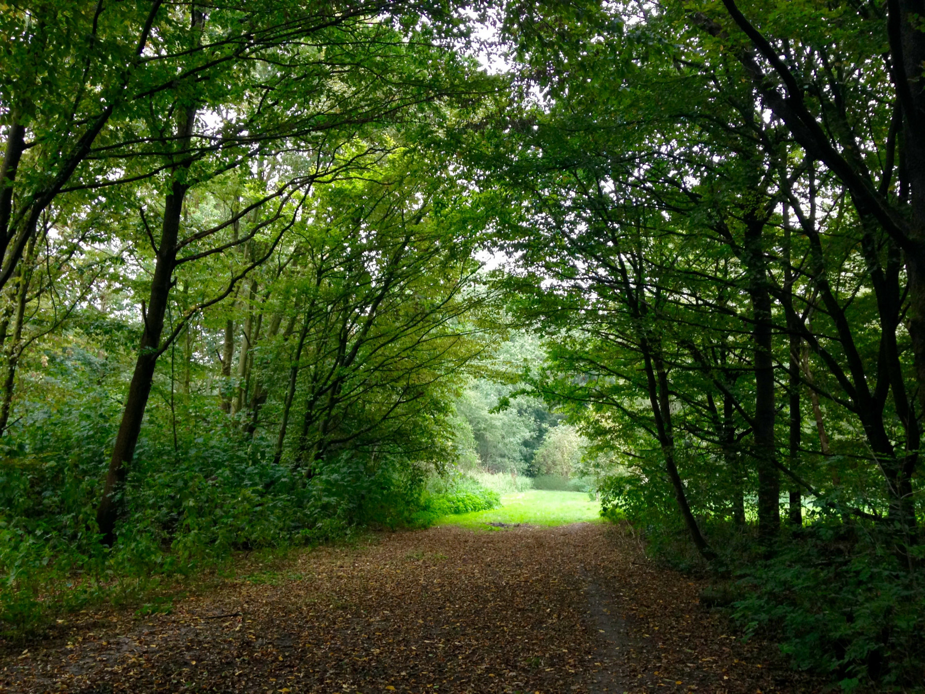 Aanmeldingsformulier Natuurexcursie IVN Almere