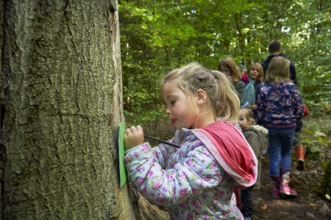 Jeugdnatuurclub weer van start