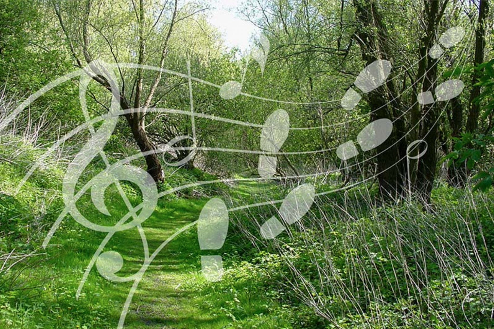 Muziekwandeling in de Almeerse Natuur