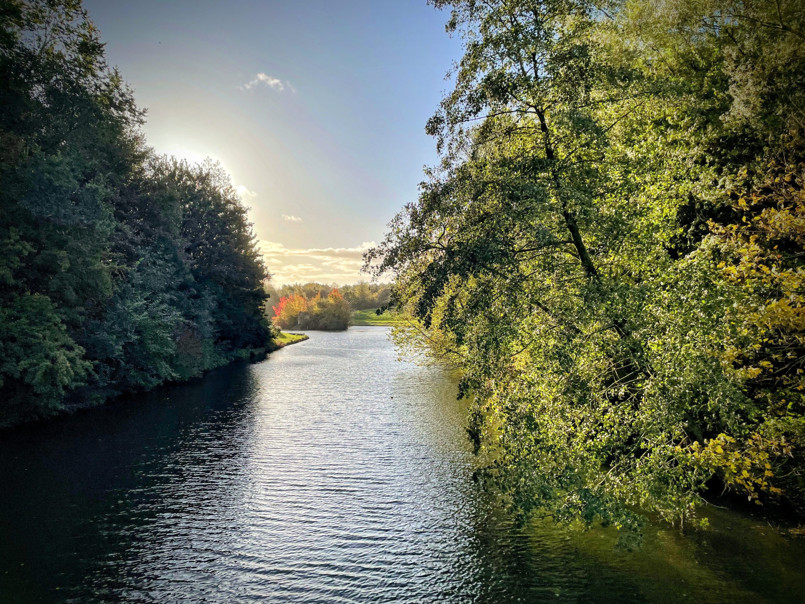 Rivier met omliggende bomen, zon schijnt door, water weerspiegelt licht.