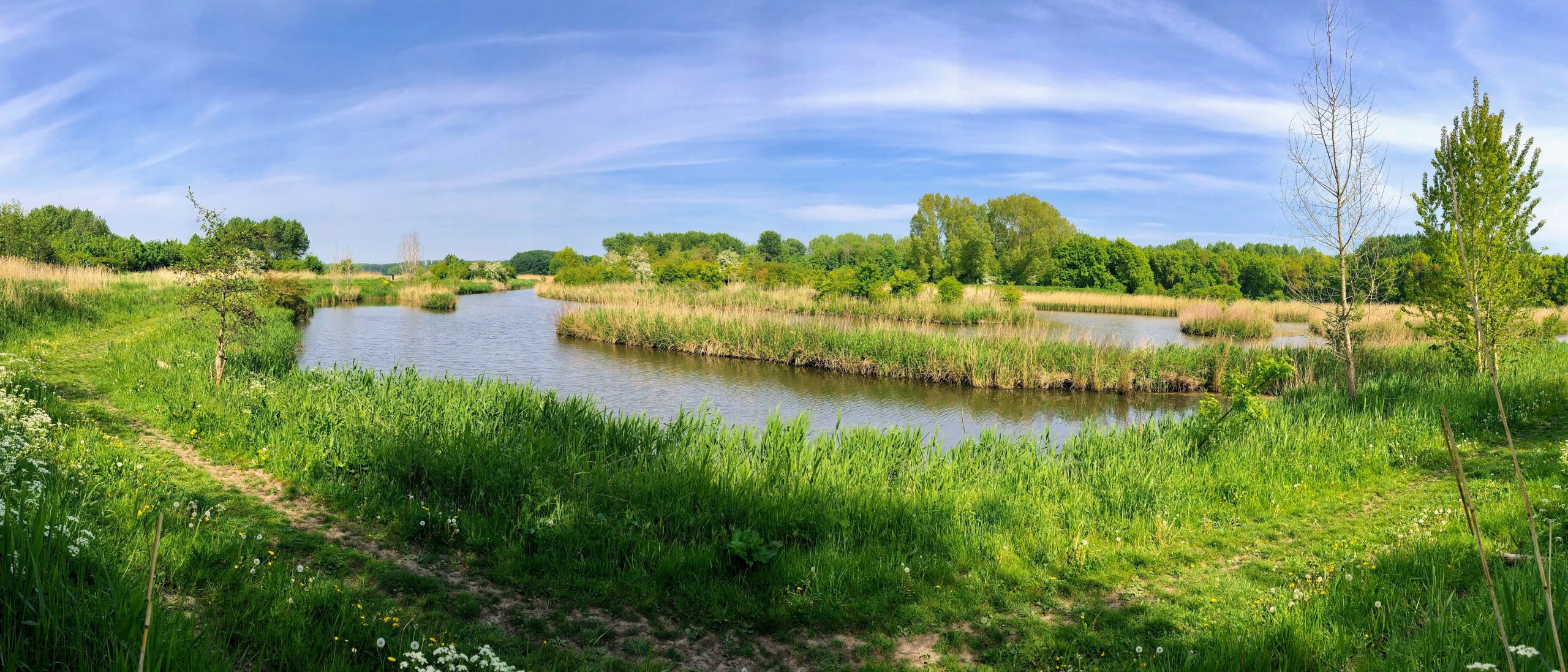 Rivierlandschap met gras, bomen en blauwe lucht.
