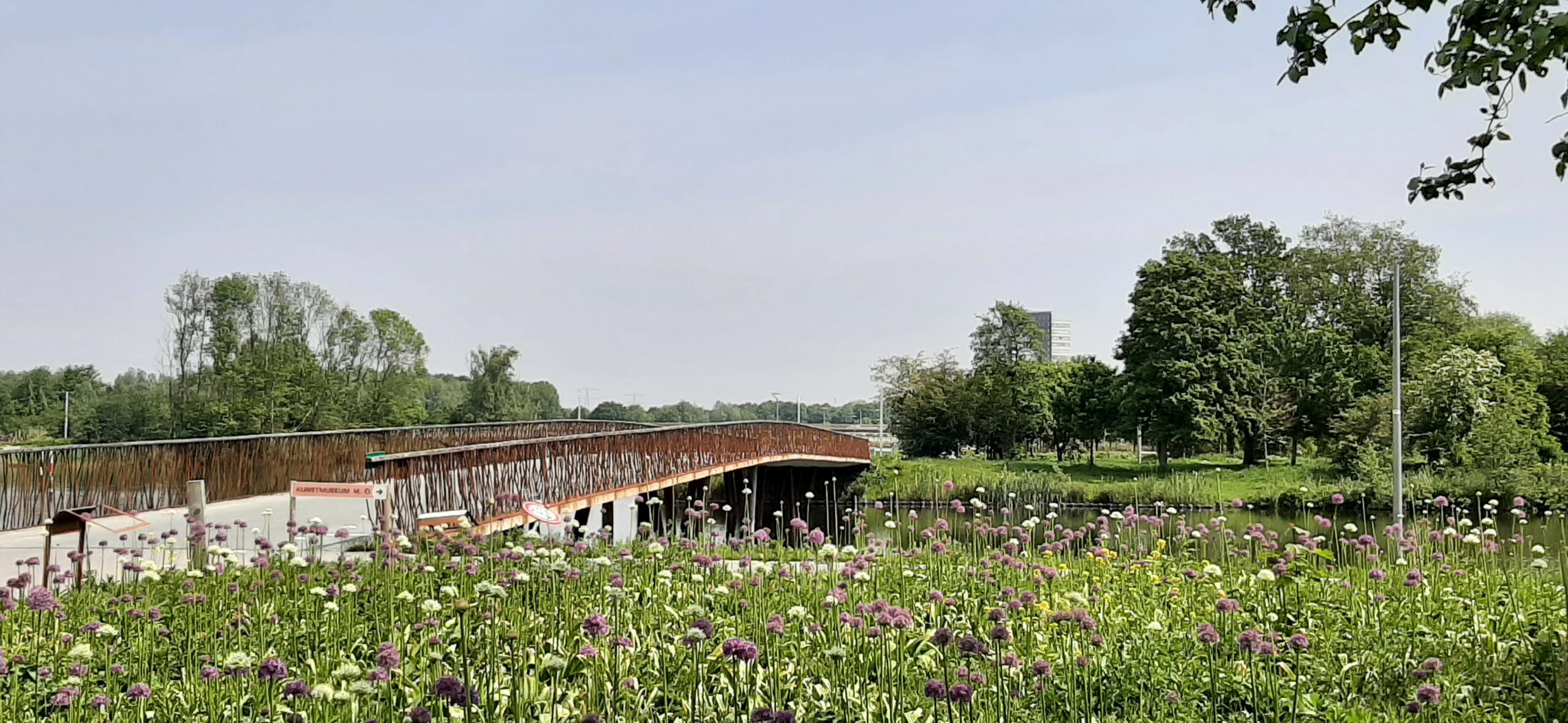 Bloemenveld voor een houten brug over een rivier met groene bomen op de achtergrond.