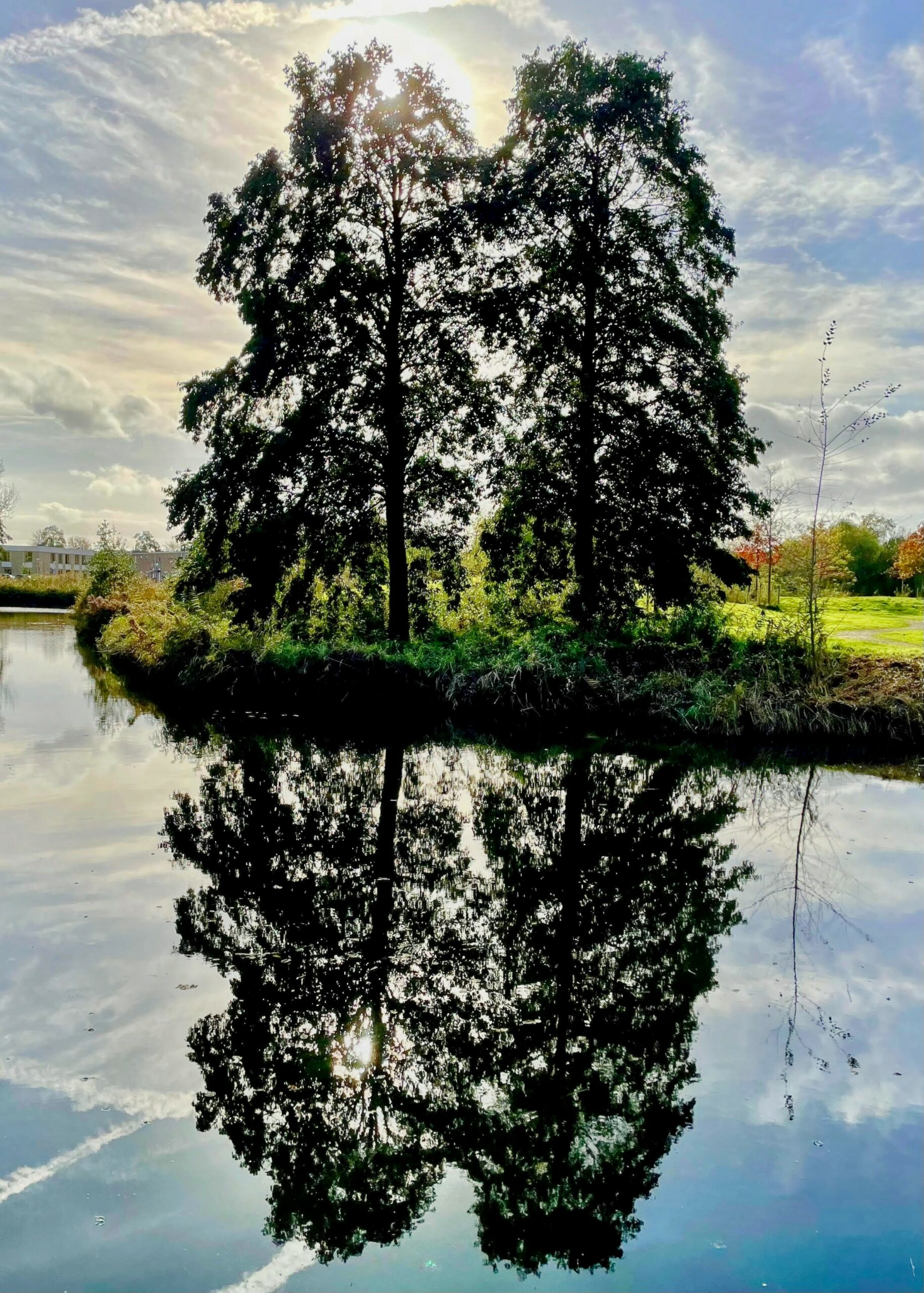 Twee bomen weerspiegeld in kalm water met de zon stralend erboven.