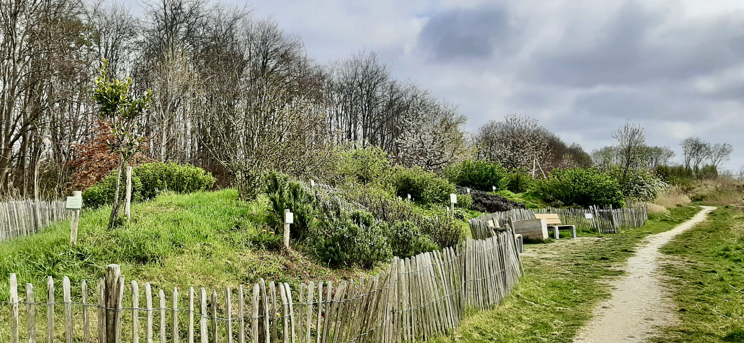 Natuurlijk landschap met gras, bomen, houten hek en wandelpad onder bewolkte hemel.