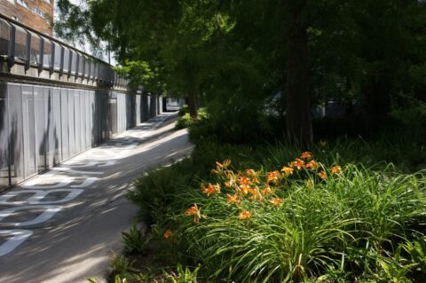Pad langs moderne constructie met zonnige oranje bloemen en groene bomen.