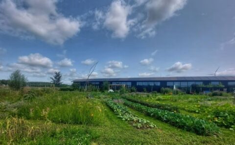Groene moestuin met diverse planten, een modern gebouw en zonnepanelen onder een bewolkte hemel.