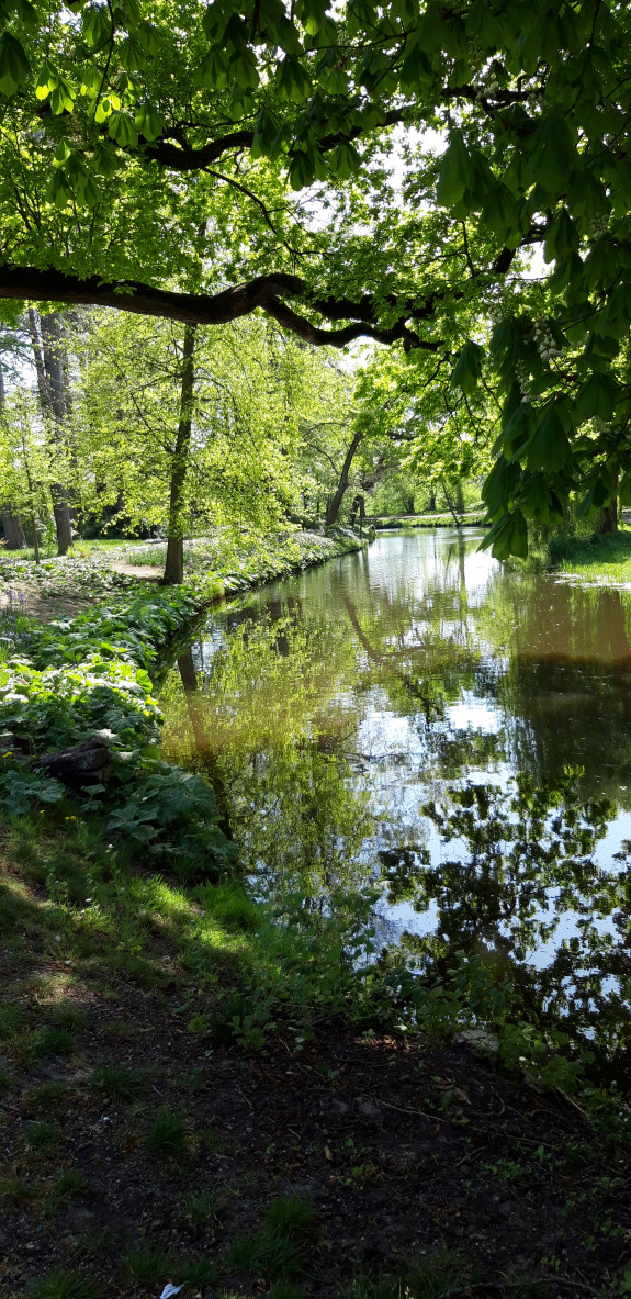 Beekje