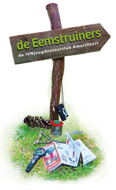 Eemstruiners