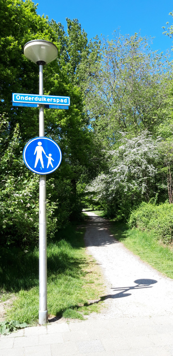 water win wandel