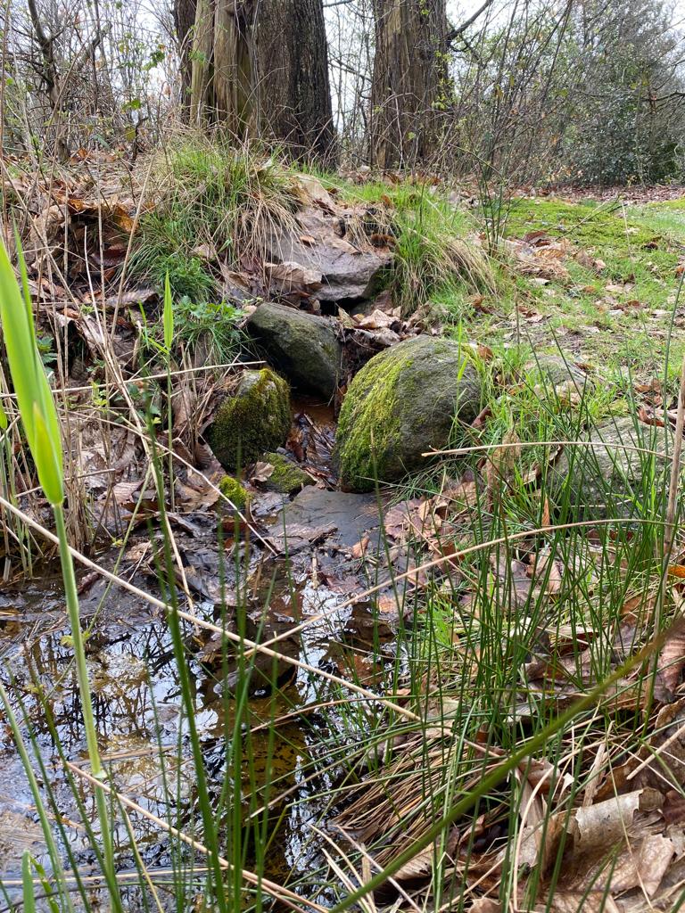 water op de Boom