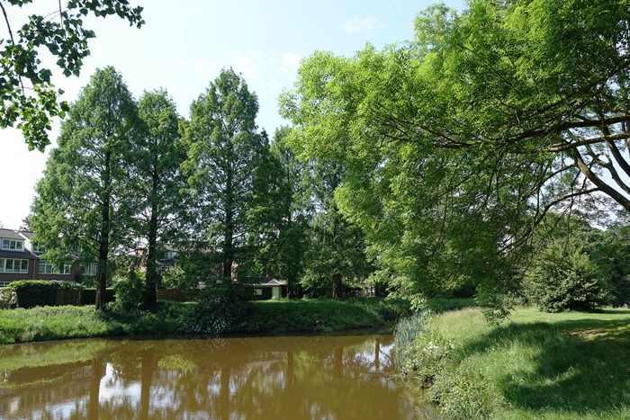 Boomrijke vijver met grasveld en huizen op de achtergrond onder een heldere lucht.