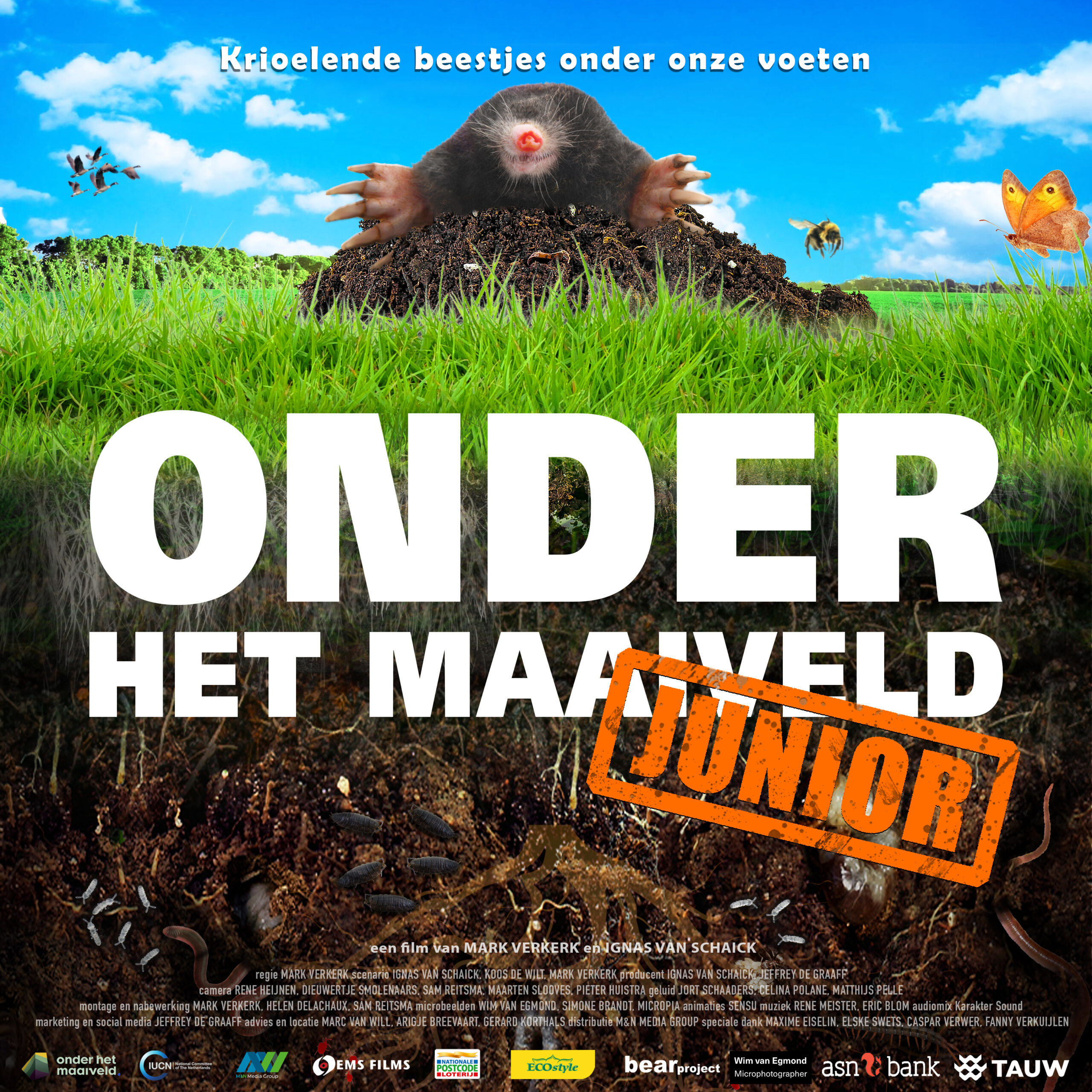 Mollenkop steekt uit grasgrond met kleurrijke hemelachtergrond, tekst "Onder het Maaiveld Junior".
