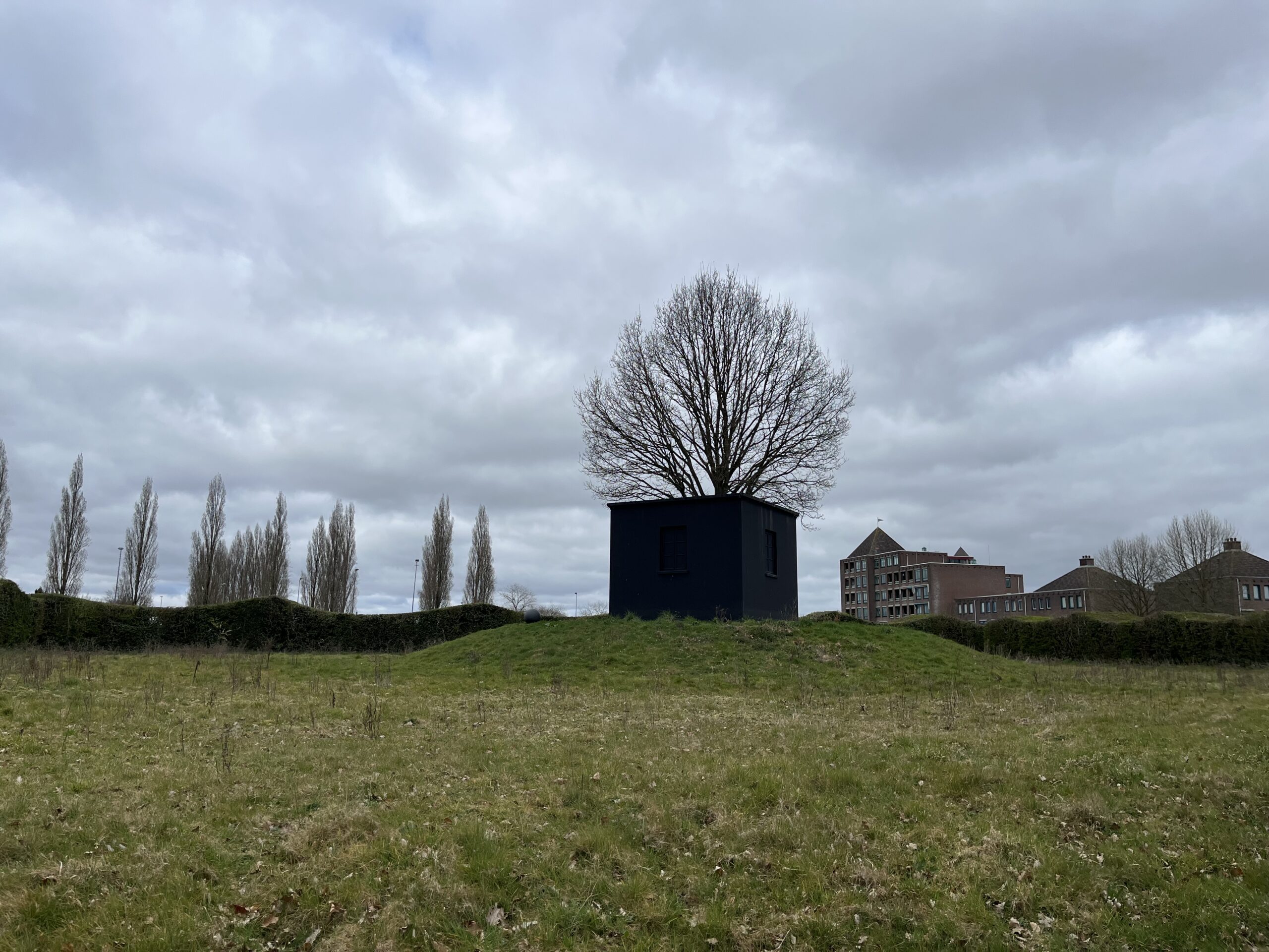 Donkere cabine met boom op heuvel; achtergrond: bomen en gebouwen onder grijze lucht.
