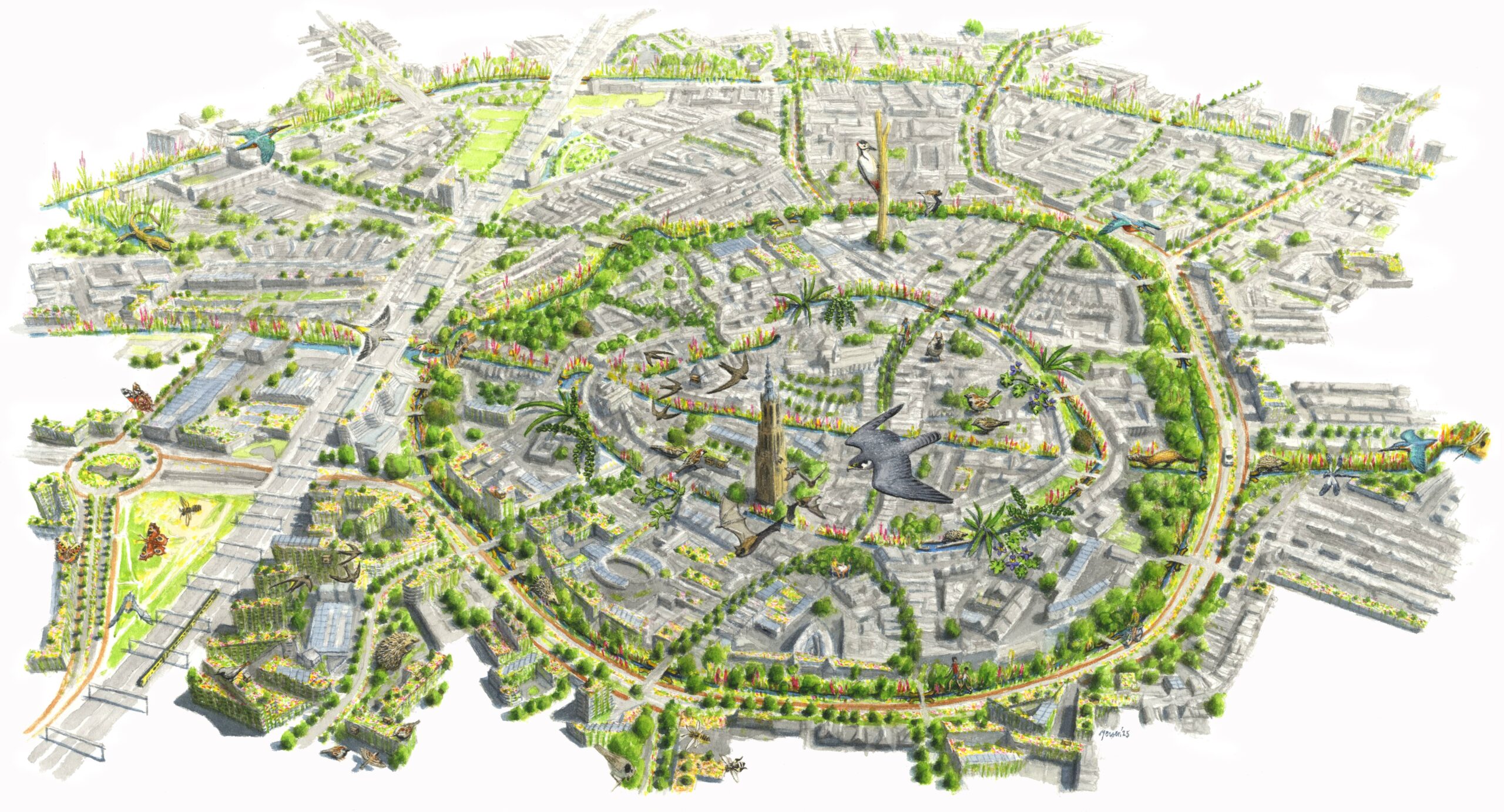Illustratie van een groene, biodiverse stad vol natuur, vogels en planten geïntegreerd met gebouwen.