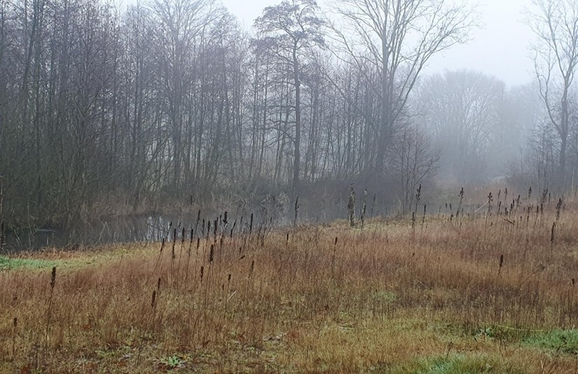 Heiligerbergerbeekdal