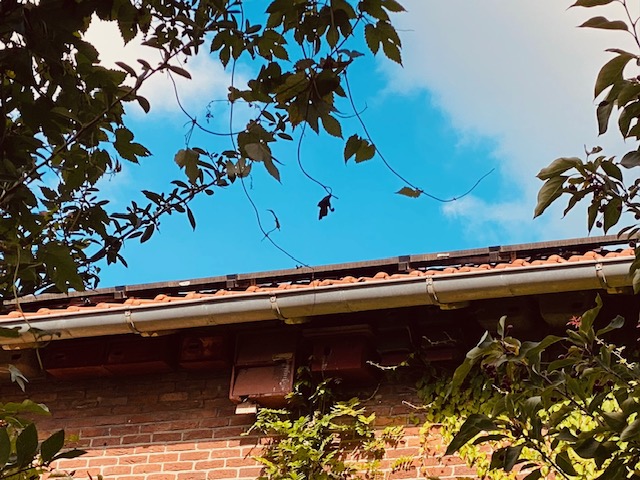 Bakstenen huis met dakgoot en zonnepanelen, omgeven door groene bladeren tegen een blauwe lucht.