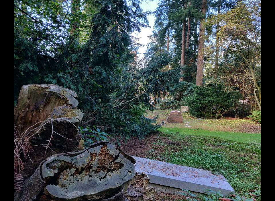 Een begraafplaats met een omgevallen boomstronk, groene bosrijke omgeving en grafsteen.