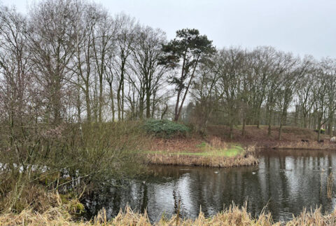 Een rustige vijver omgeven door kale bomen, met gras en struiken onder een grijze lucht.