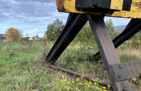 Stopblok op een verlaten spoorlijn met wilde bloemen en groene vegetatie op de achtergrond.