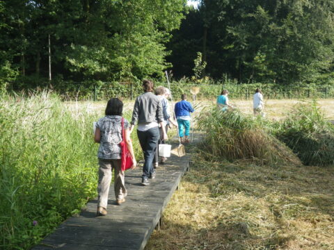 Groep mensen loopt op een houten pad in een groene, bosrijke omgeving met schepnetten.