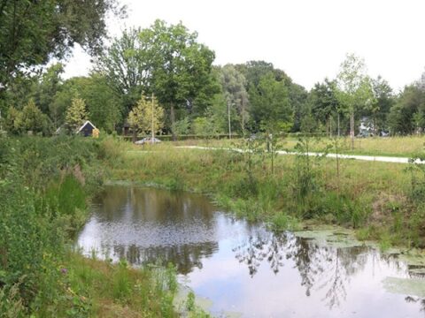 Een landelijk landschap met een vijver, omliggende bomen en een pad in de verte.