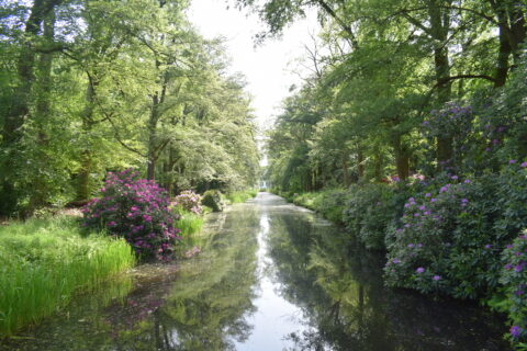 Rustig kanaal tussen groene bomen en kleurrijke bloemen, met een witte villa in de verte.