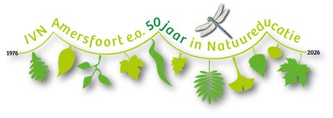Groene tekst en bladeren met libelle, viert 50 jaar natuur educatie door IVN Amersfoort, 1976-2026.