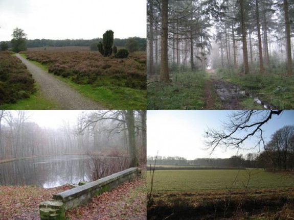 afd arnhem natuurpad warnsborn