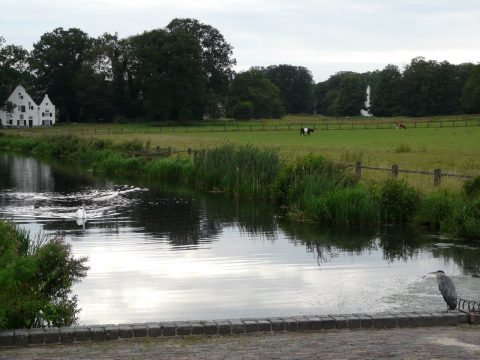 Natuurpad Park Sonsbeek