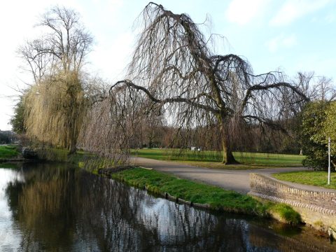 Over IVN Natuur-educatie Arnhem