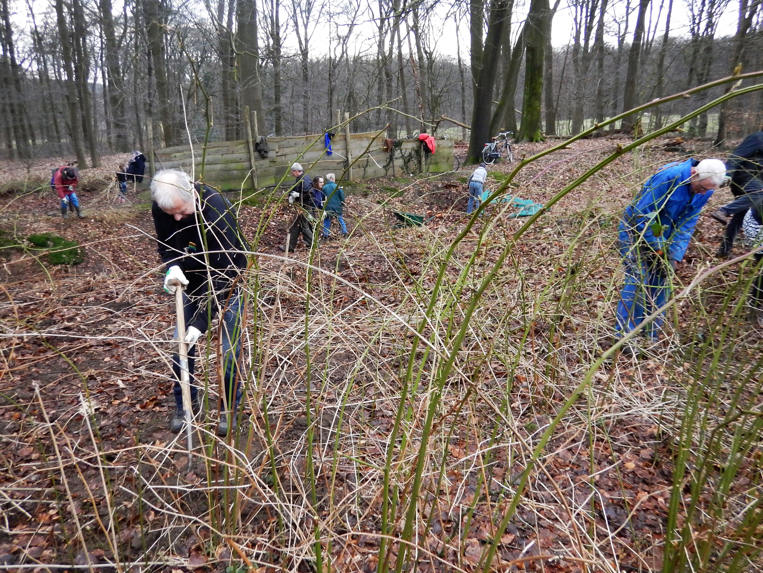 Wildwal zichtbaar gemaakt