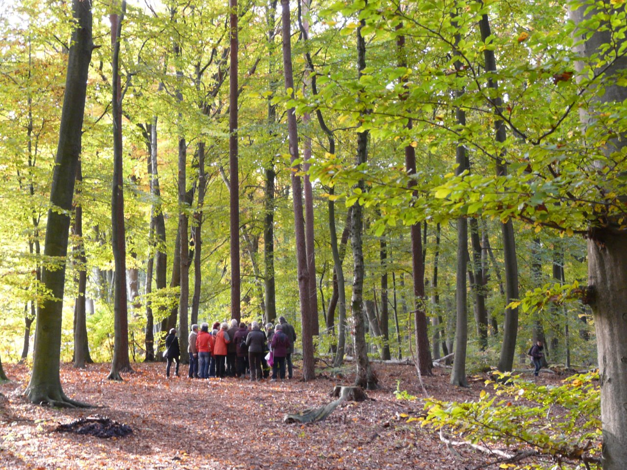 Landschappenwandeling Warnsborn Arnhem