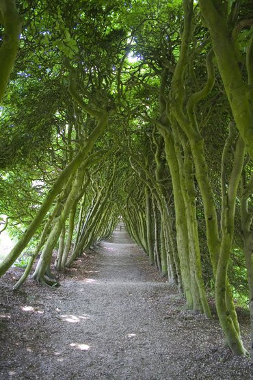 de_groene_bedstee_mariendaal