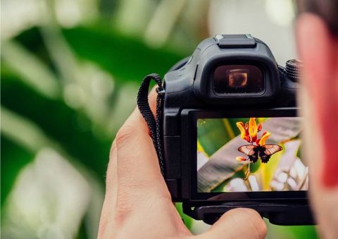 Fotowedstrijd Arnhem Klimaatbestendig; Doe mee tot 27 juni !