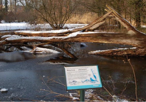 © foto IVN Natuur-educatie Arnhem