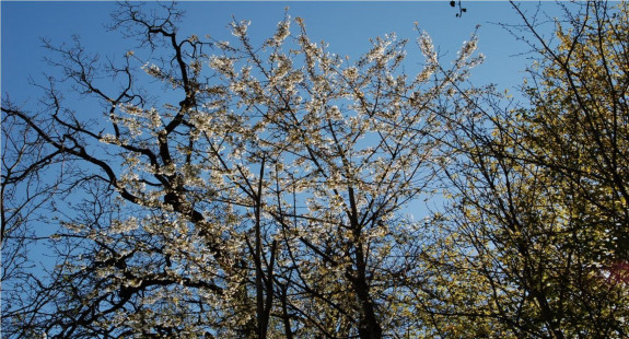 foto's © IVN Natuur-educatie Arnhem