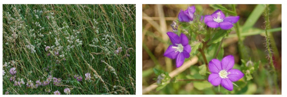 foto's © IVN Natuur-educatie Arnhem