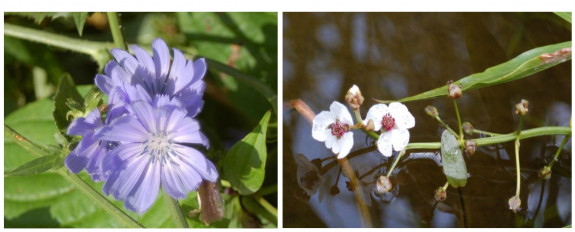 foto's © IVN Natuur-educatie Arnhem