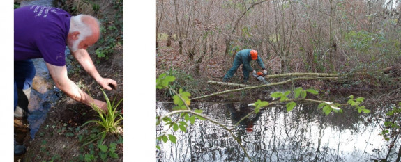 foto's © IVN Natuur-educatie Arnhem