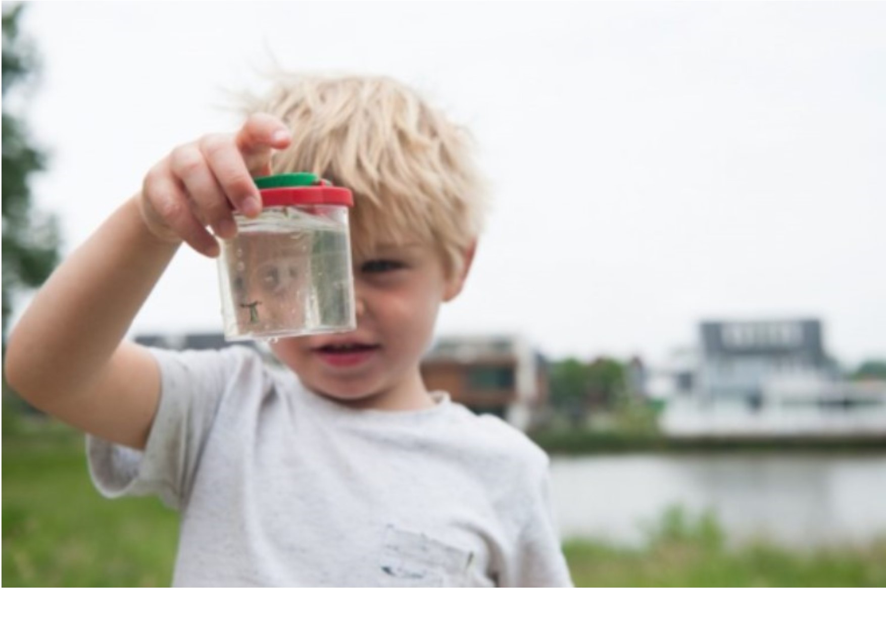 Scharrelkids van IVN Arnhem gaan digitaal; download nu je speur-activiteiten !