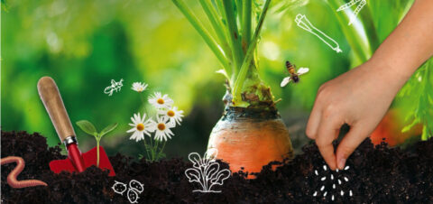 Hand plant zaadjes naast wortel, bloemen, schepje en tekeningen van insecten en groenten in aarde.
