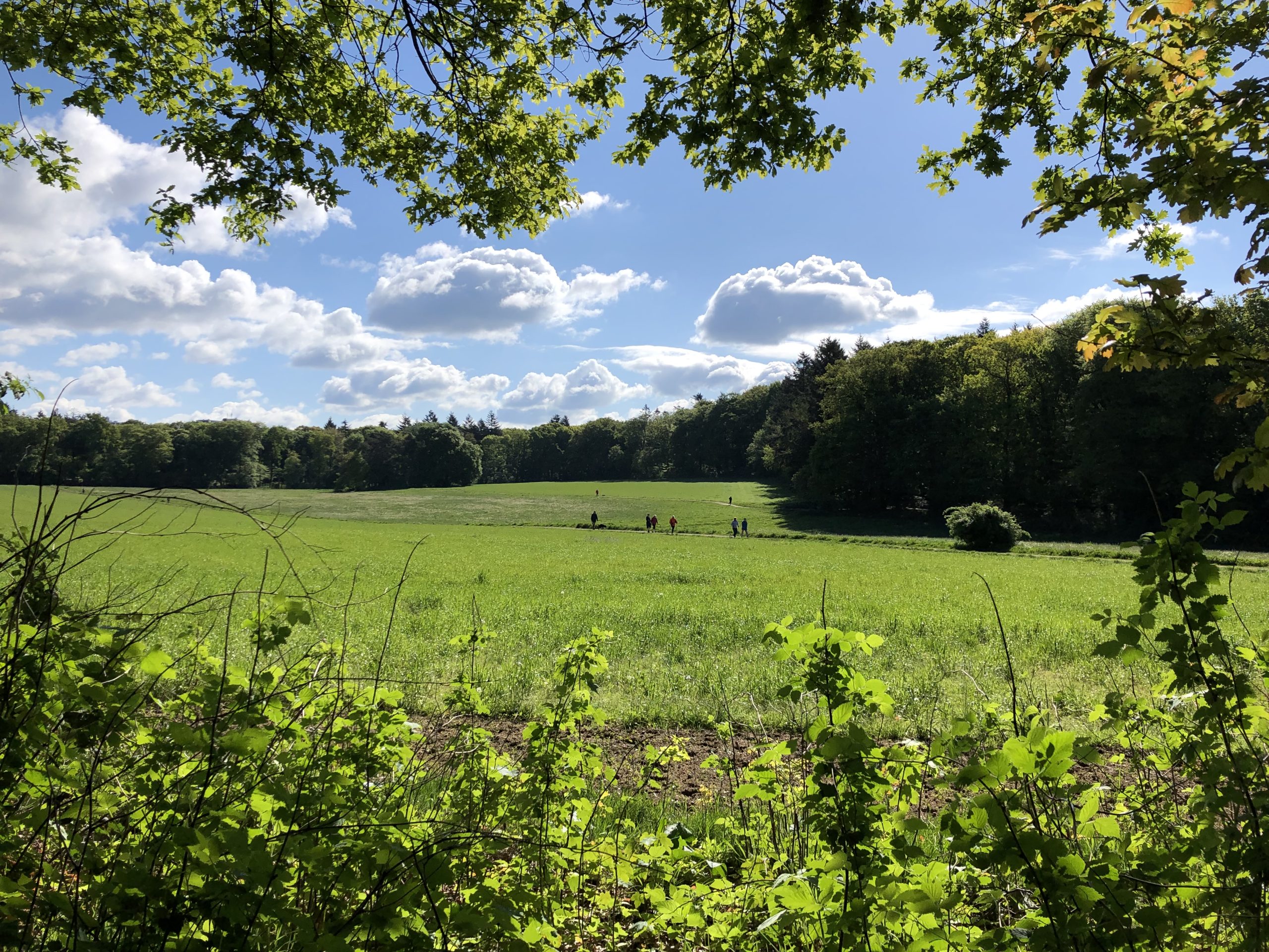 Uitzicht op Park Sonsbeek