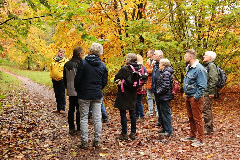 Groep mensen in herfstbos, luisterend naar een gids. Kleurrijke bladeren en een smal pad op de achtergrond.
