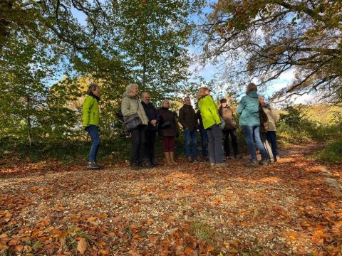 Een groep mensen staat op een met herfstbladeren bedekte bosweg in een groene omgeving.