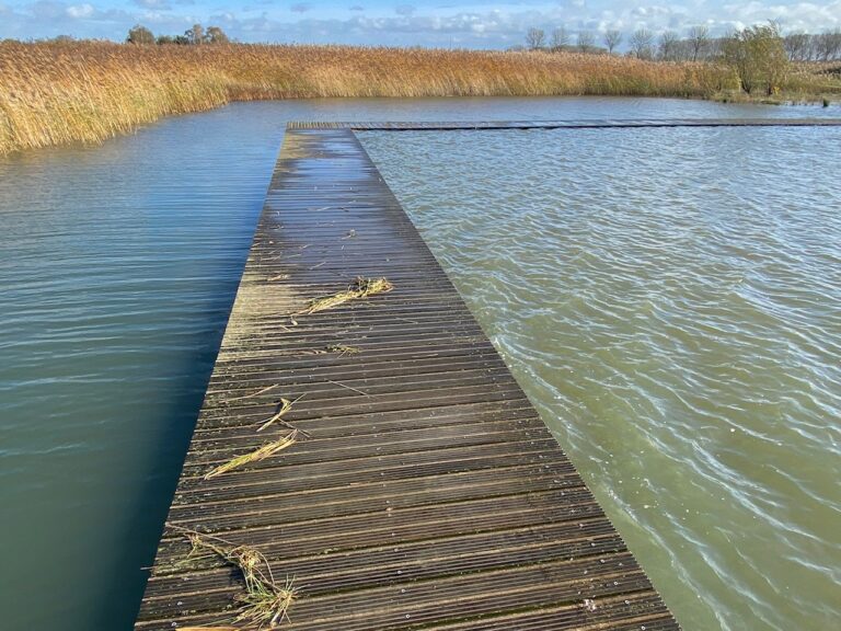 Houten loopbrug over water met rietomzoomde oevers en blauwe lucht erboven.
