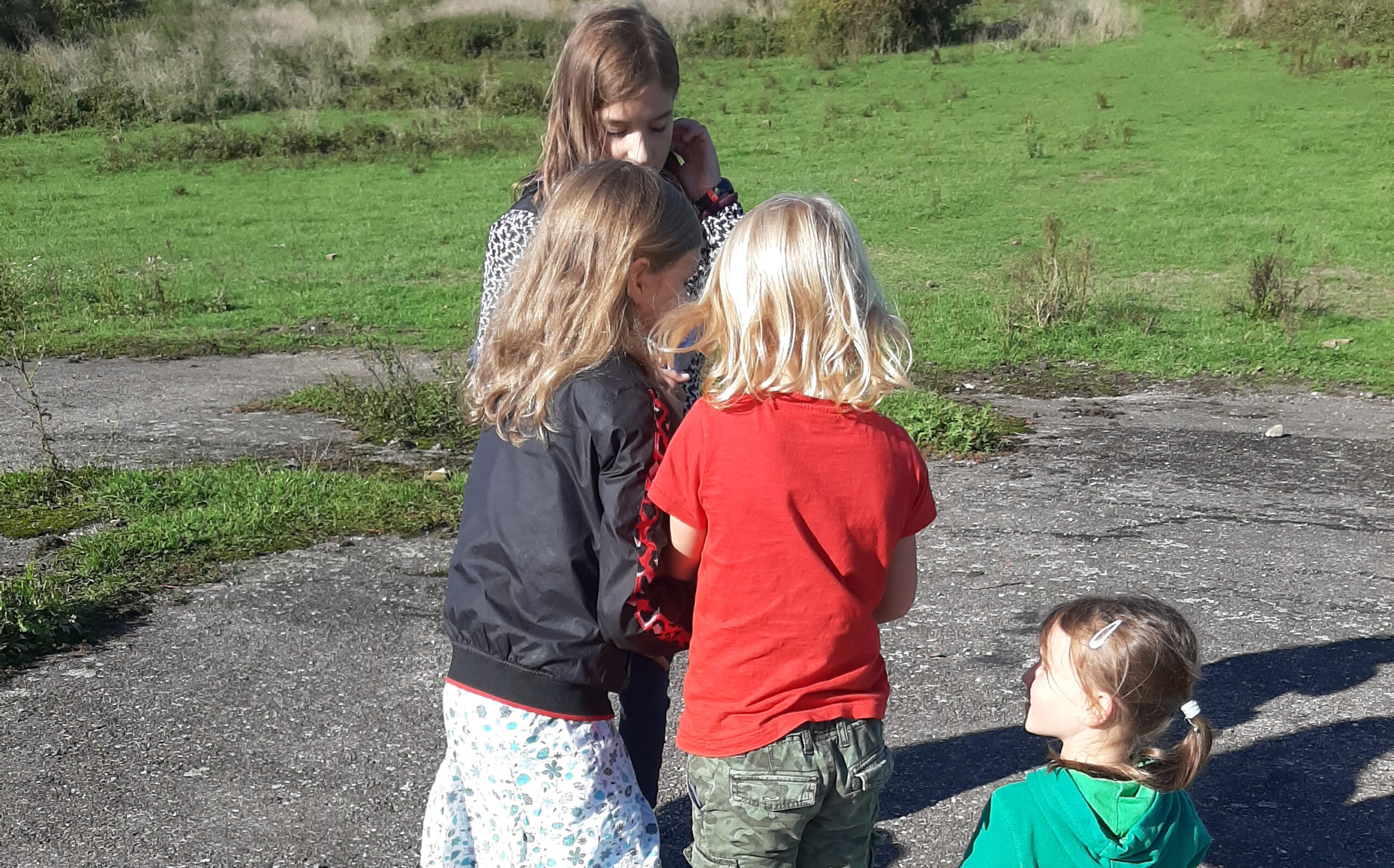 Vier kinderen praten en spelen buiten op een zonnige dag op een grasveld.