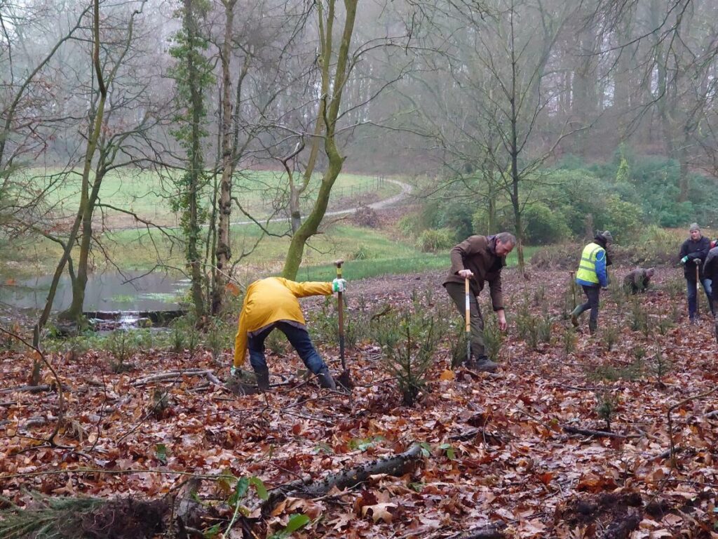 Mensen planten bomen in een bebost gebied met mist en gevallen bladeren op de grond.