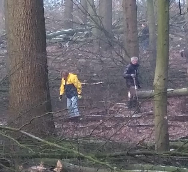 Mensen werken in een bos, zagen en verplaatsen bomen tussen grote boomstammen.