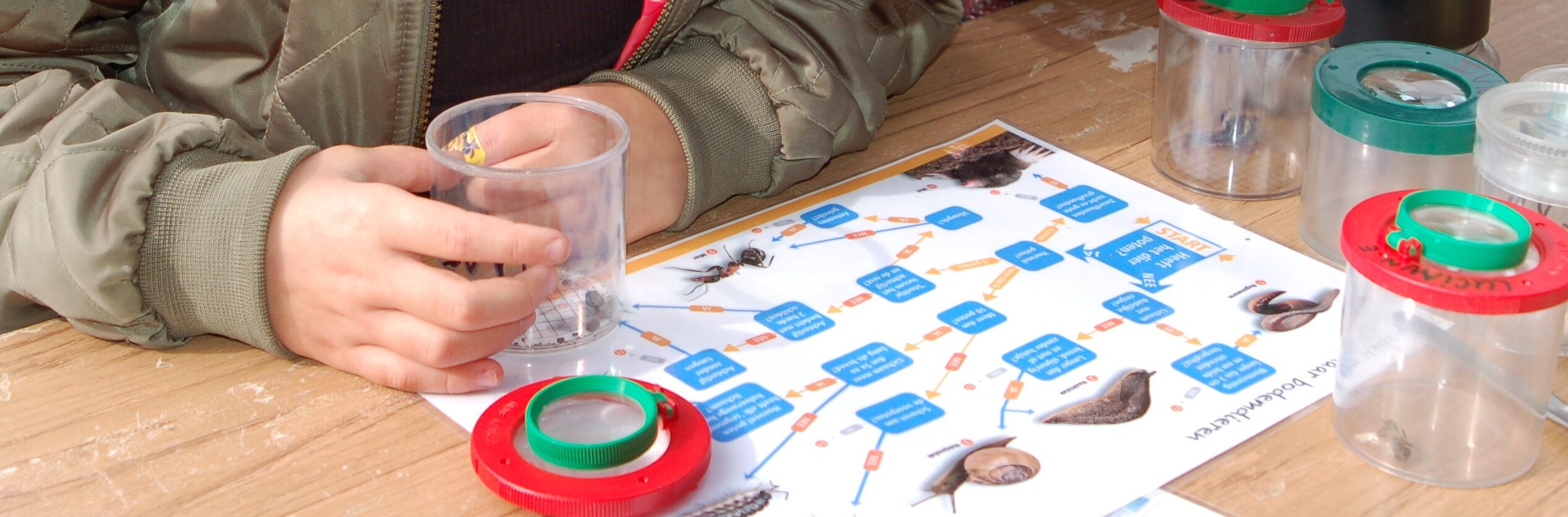 Handen met loeppotjes en biodiversiteitsposter op tafel.