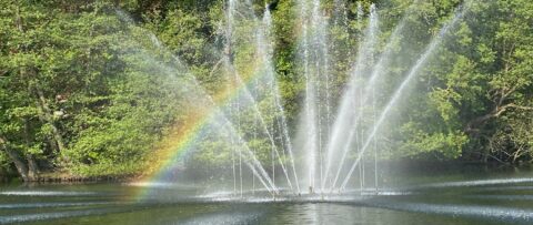 Fontein in een vijver, met waterstralen en een regenboog tegen groene bomen.